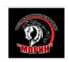 ООО ЧОП Морин